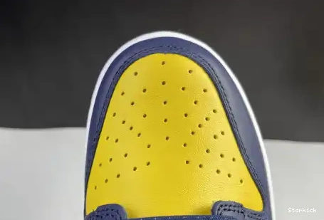 Michigan Nike Dunk DD1391-700 Low 0504